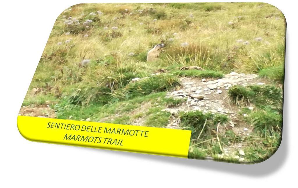 Marmot Apartment Дімаро Екстер'єр фото